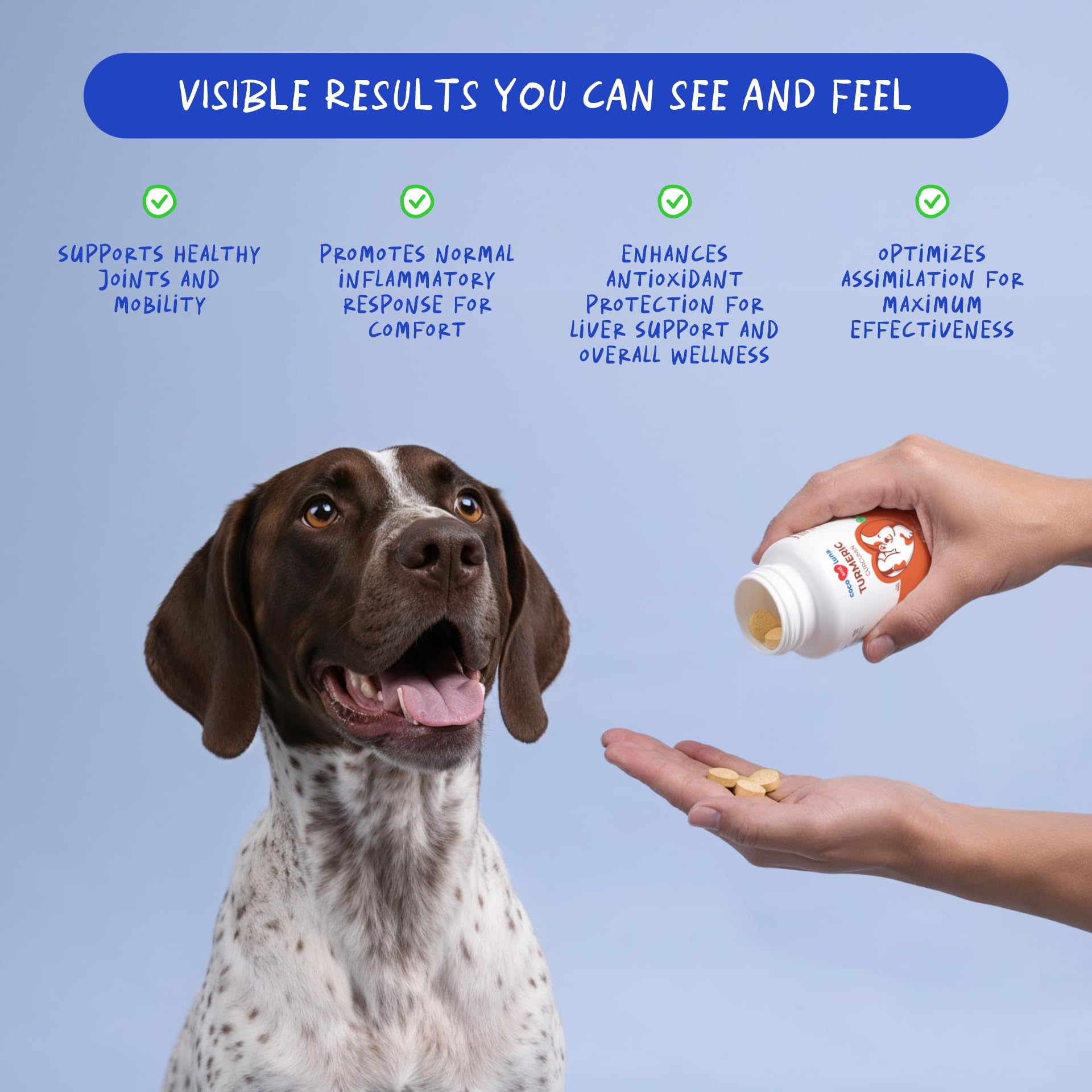 Coco et Luna Turmeric – bouteille avec 120 comprimés, dosage pratique pour chiens.