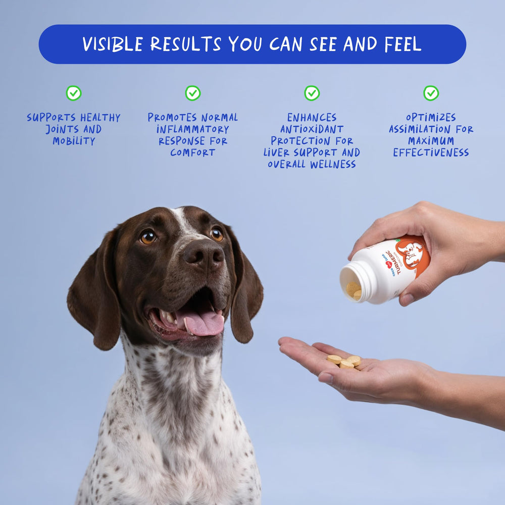 Coco et Luna Turmeric – bouteille avec 120 comprimés, dosage pratique pour chiens.