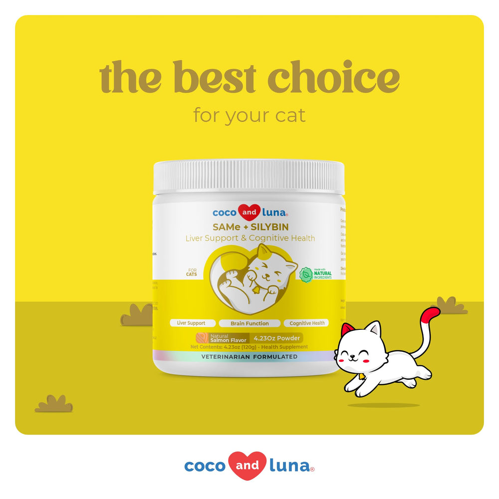 Coco et Luna utilisation quotidienne-chat, intégration facile à l’alimentation