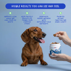 Coco et Luna – Vitamines Œil Chien: myrtille et vitamines pour l’entretien oculaire.
