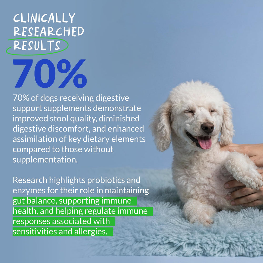 Coco et Luna miel-potiron: probiotiques chien pour soutien digestif et fibres naturelles.