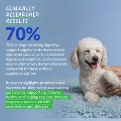 Coco et Luna miel-potiron: probiotiques chien pour soutien digestif et fibres naturelles.