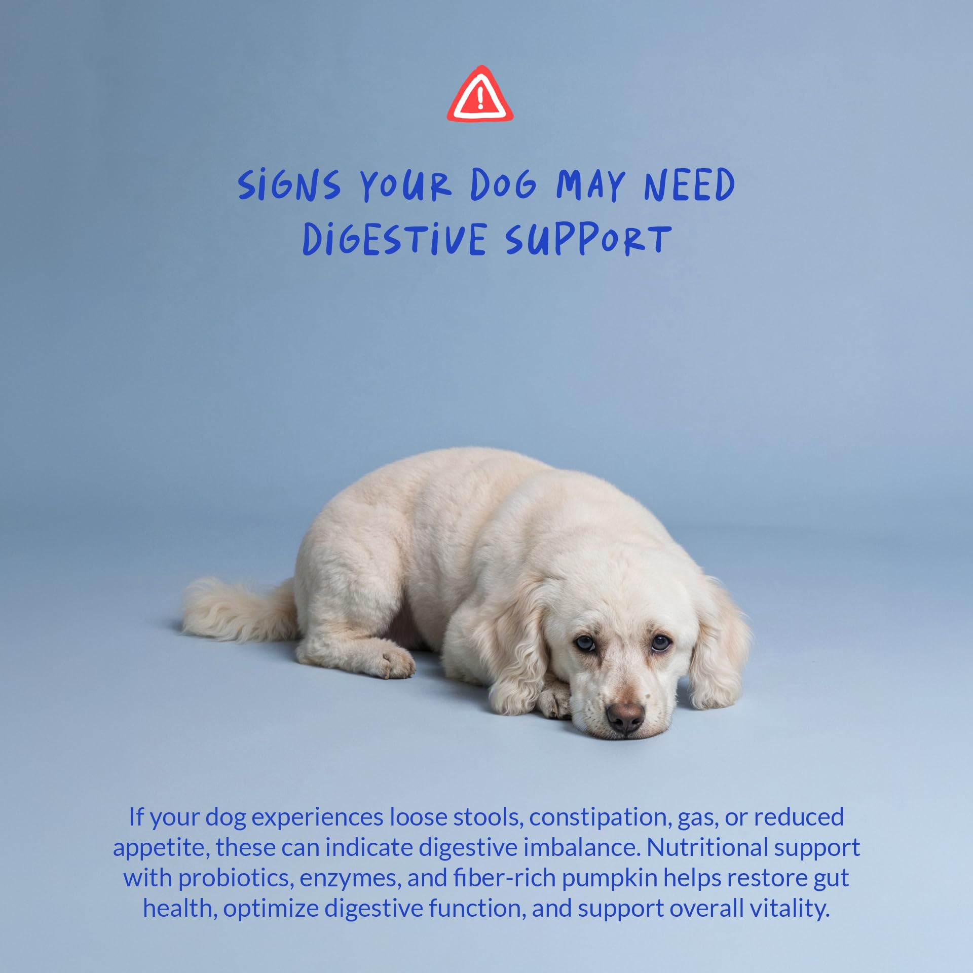 Coco et Luna prébiotiques: favorise une flore intestinale équilibrée chez le chien.