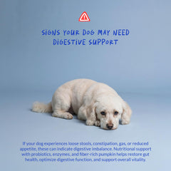 Coco et Luna prébiotiques: favorise une flore intestinale équilibrée chez le chien.