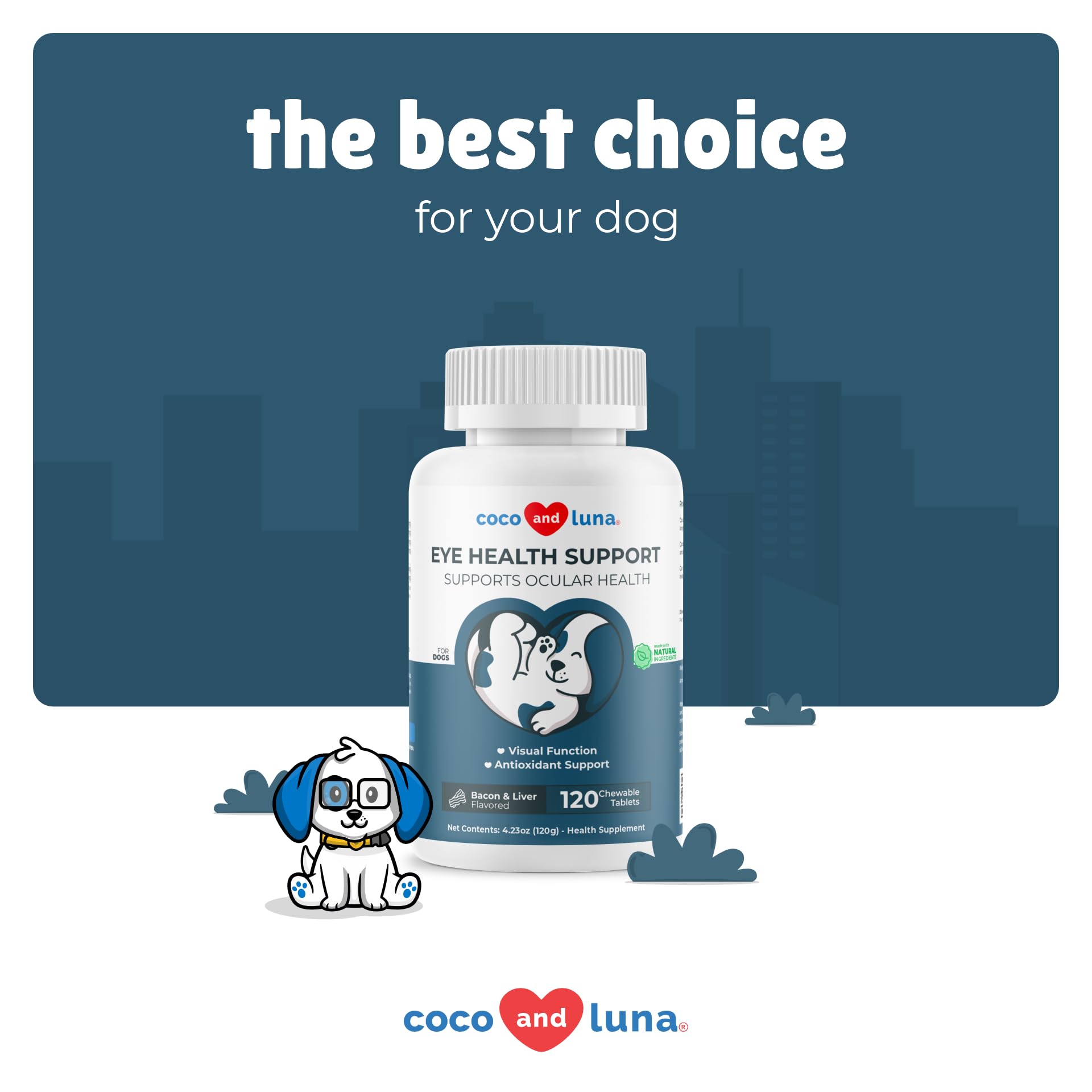 Coco et Luna: routine senior chien, soutien potentiel pour la vision et le confort.