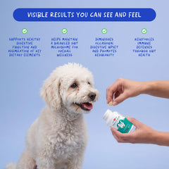 Coco et Luna tablettes probiotiques chien emballage pratique pour doser facilement.