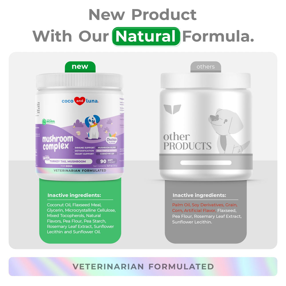 Coco et Luna Turkey Tail pour chiens - digestion harmonieuse et confort intestinal