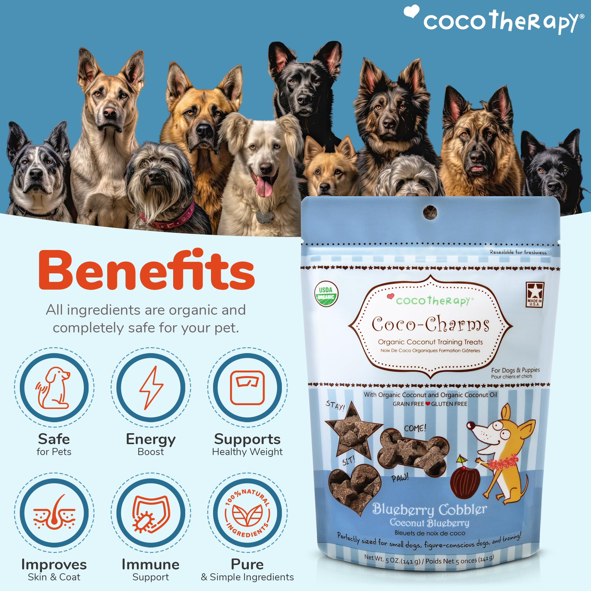 CocoTherapy Coco-Charms dessert myrtille, bouchée appétissante à savourer