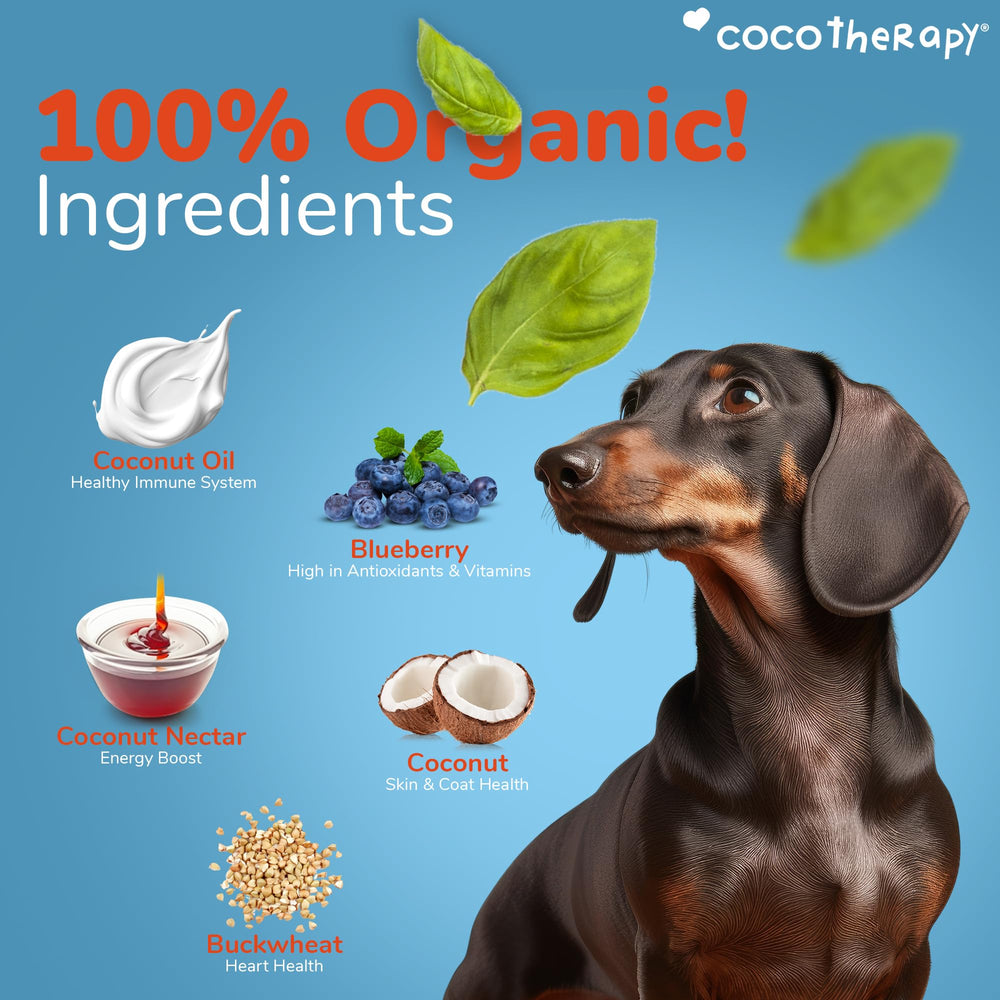 Ingrédients biologiques utilisés dans les Coco-Charms, ingrédients simples et sûrs