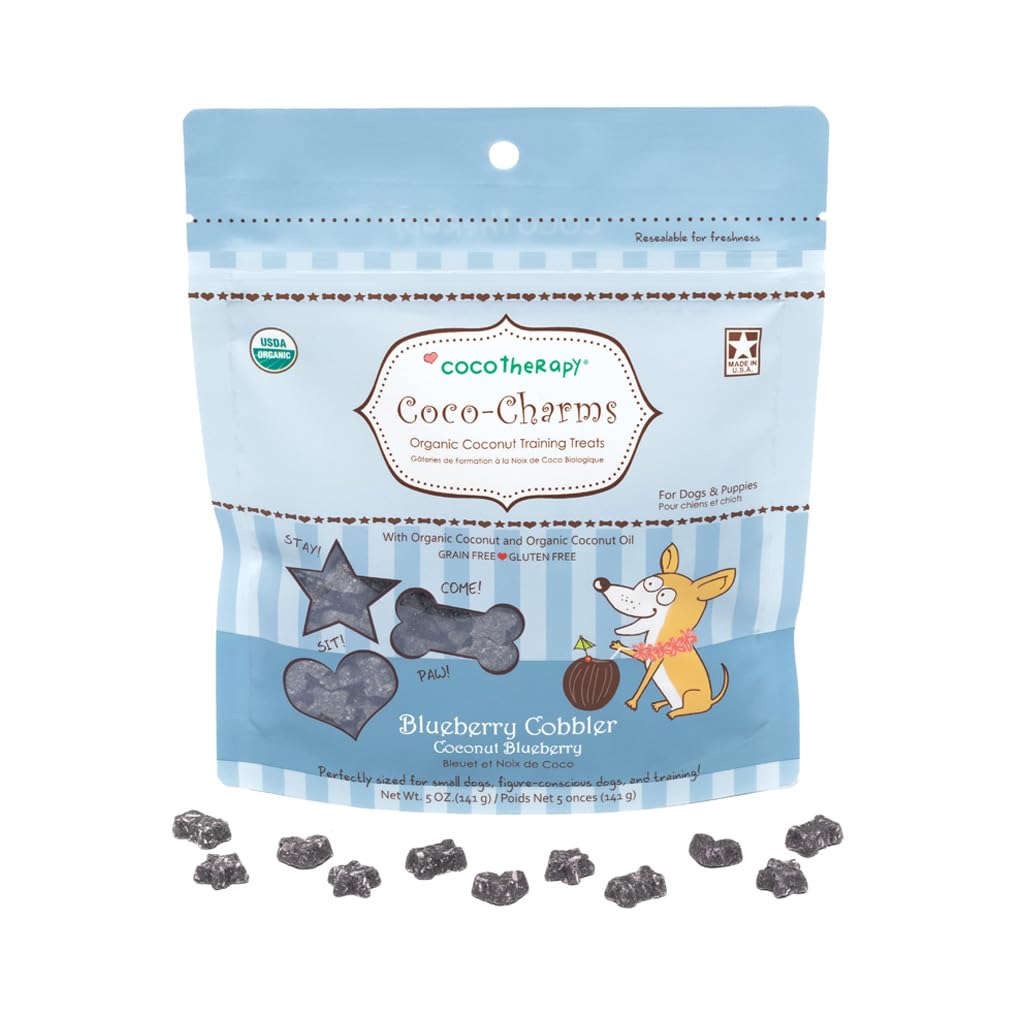 Friandises vegan sans gluten, options adaptées aux chiens sensibles