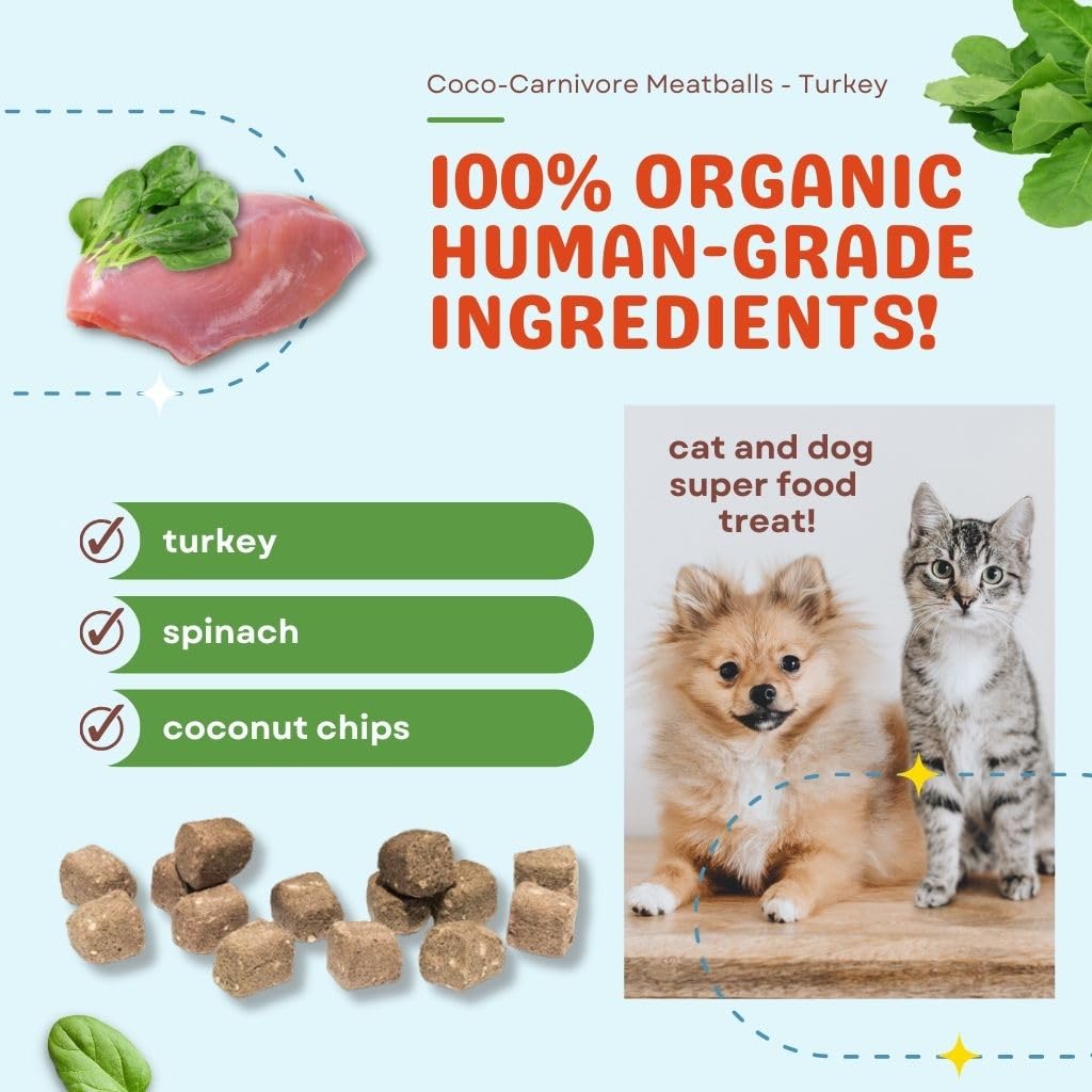 CocoTherapy Boulettes Carnivore Dinde – texture séchée idéale en friandise.
