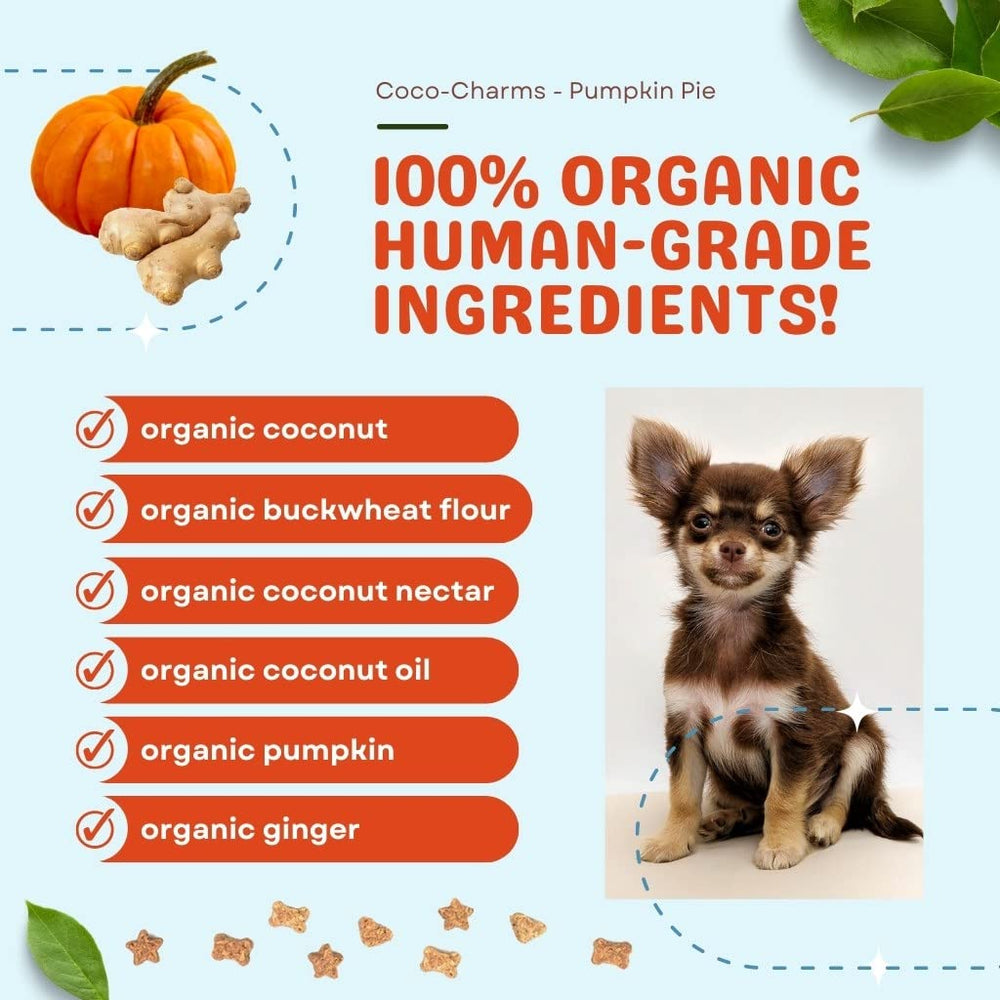 Sans œufs, sans lait ni gluten, adaptées aux chiens sensibles.