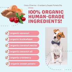 Soin peau et pelage amélioré grâce à CocoTherapy Cranberry Patate Douce.