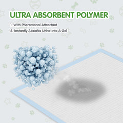 COCOYO bordure-arrière imperméable, barrière anti-fuite pour une utilisation propre.