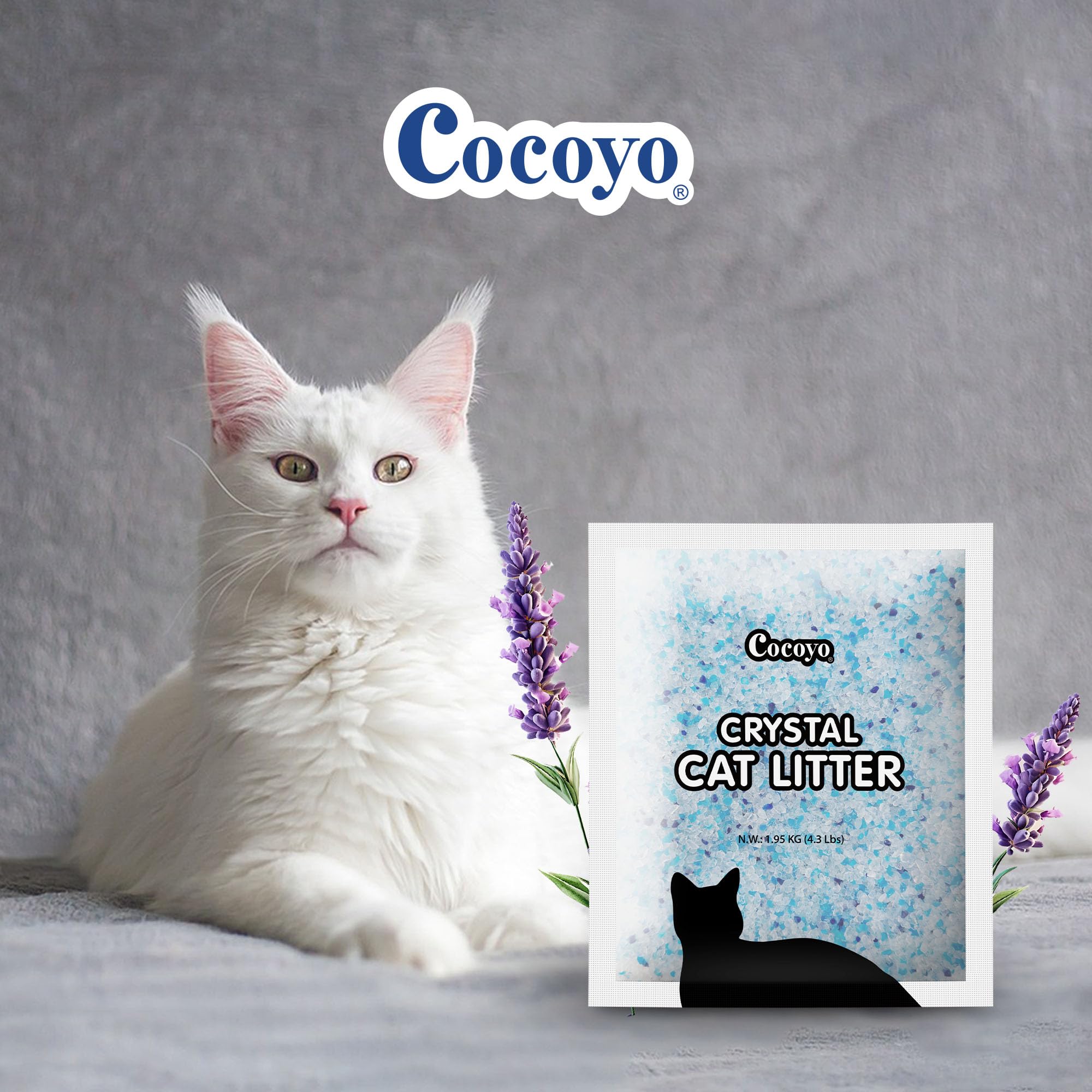 COCOYO litière Cristaux Lavande, pelle pour litière facilitant le ramassage.