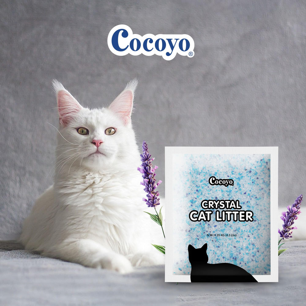 COCOYO litière Cristaux Lavande, pelle pour litière facilitant le ramassage.