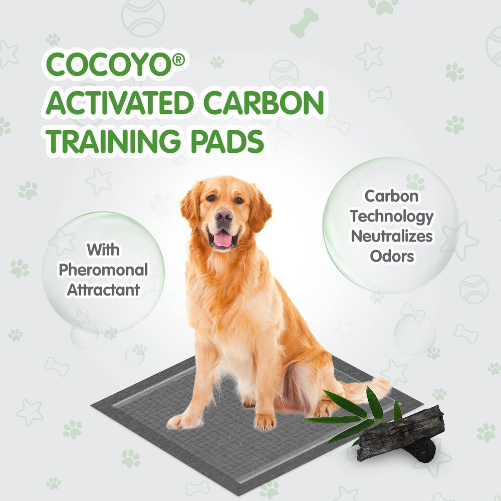 COCOYO tapis d'entraînement convient à tous les âges et races, parfait apprentissage
