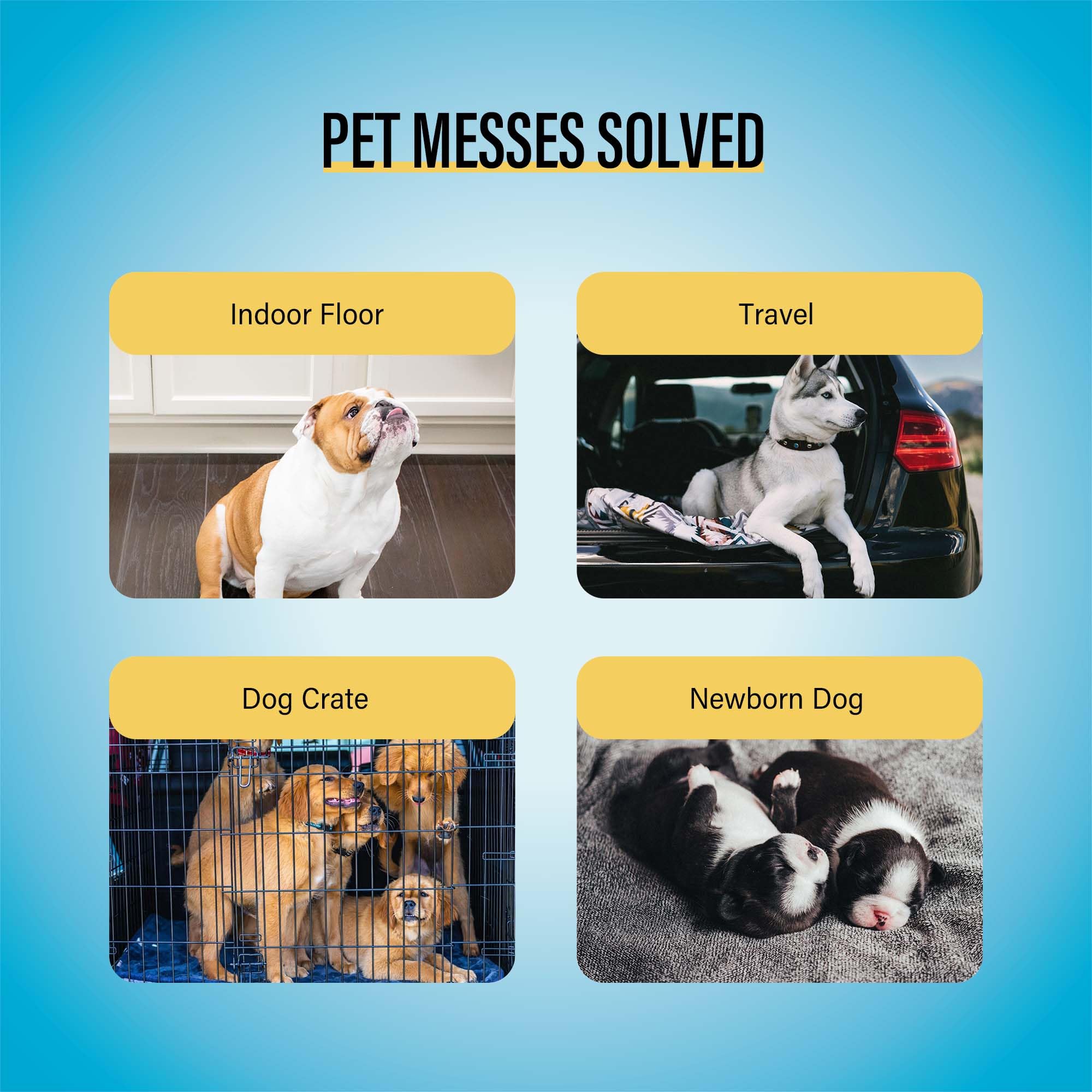 COCOYO tapis d’entraînement pour chiots, solution pratique.