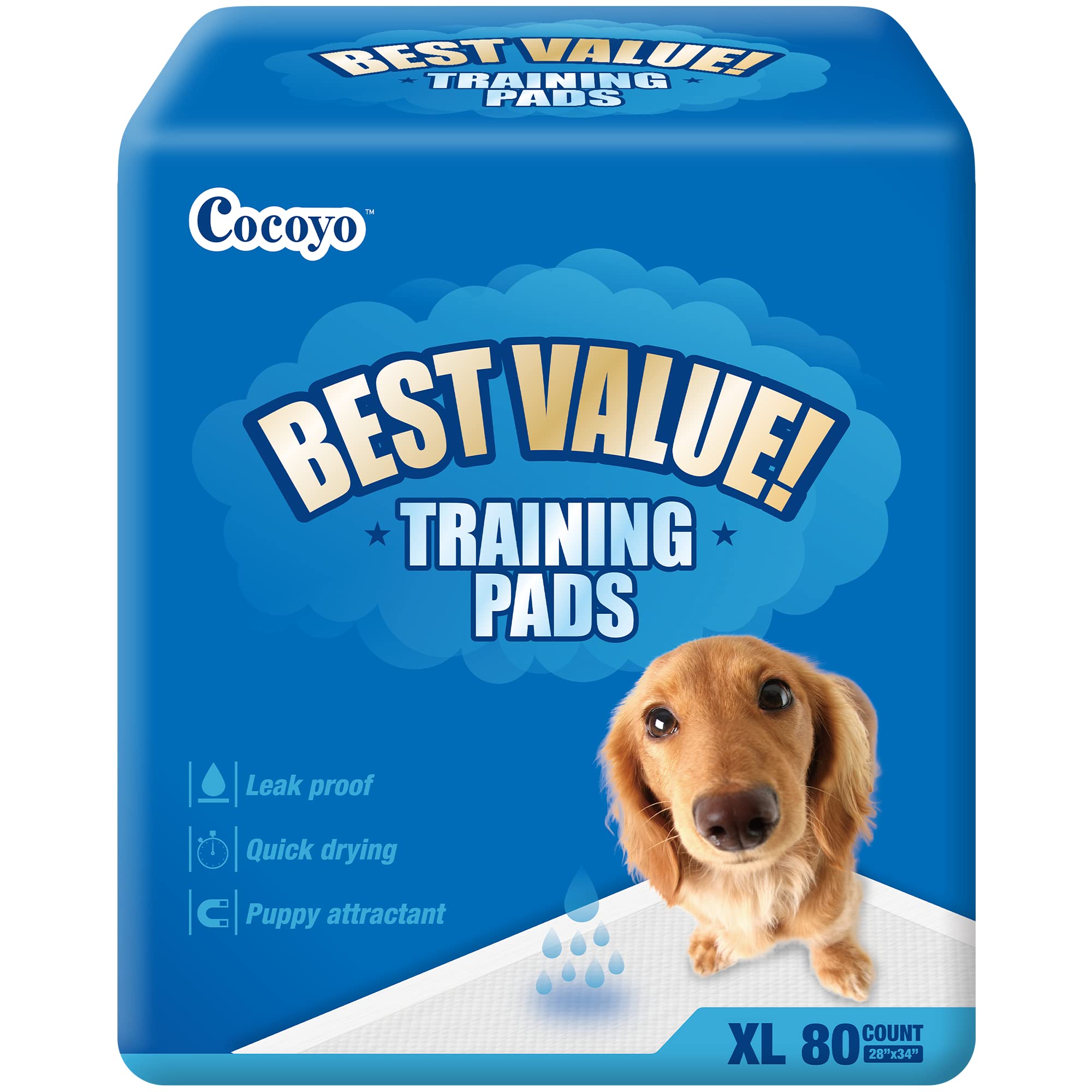 COCOYO tapis d'entraînement, meilleur prix, idéal pour l'apprentissage des chiots à domicile.
