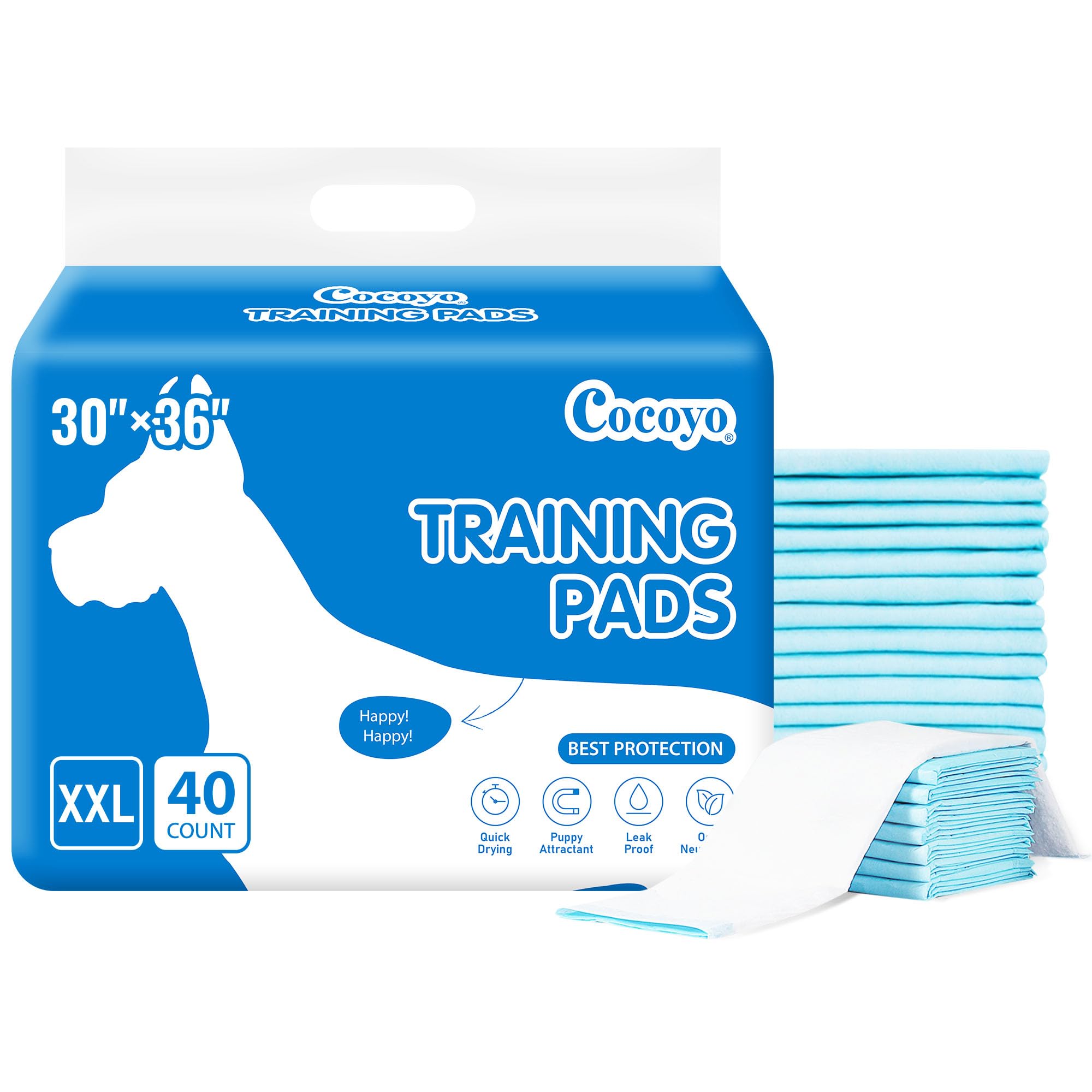 COCOYO tapis d’entraînement, surface à séchage rapide, idéal pour chiots.