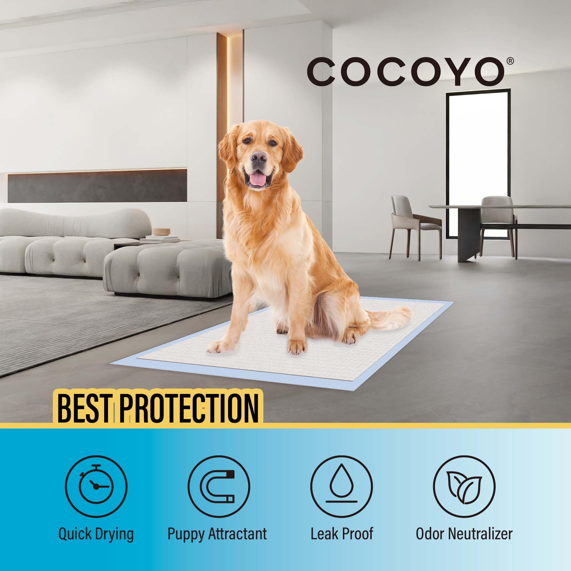 COCOYO tapis d'entraînement sèche rapidement, sol propre après usage.