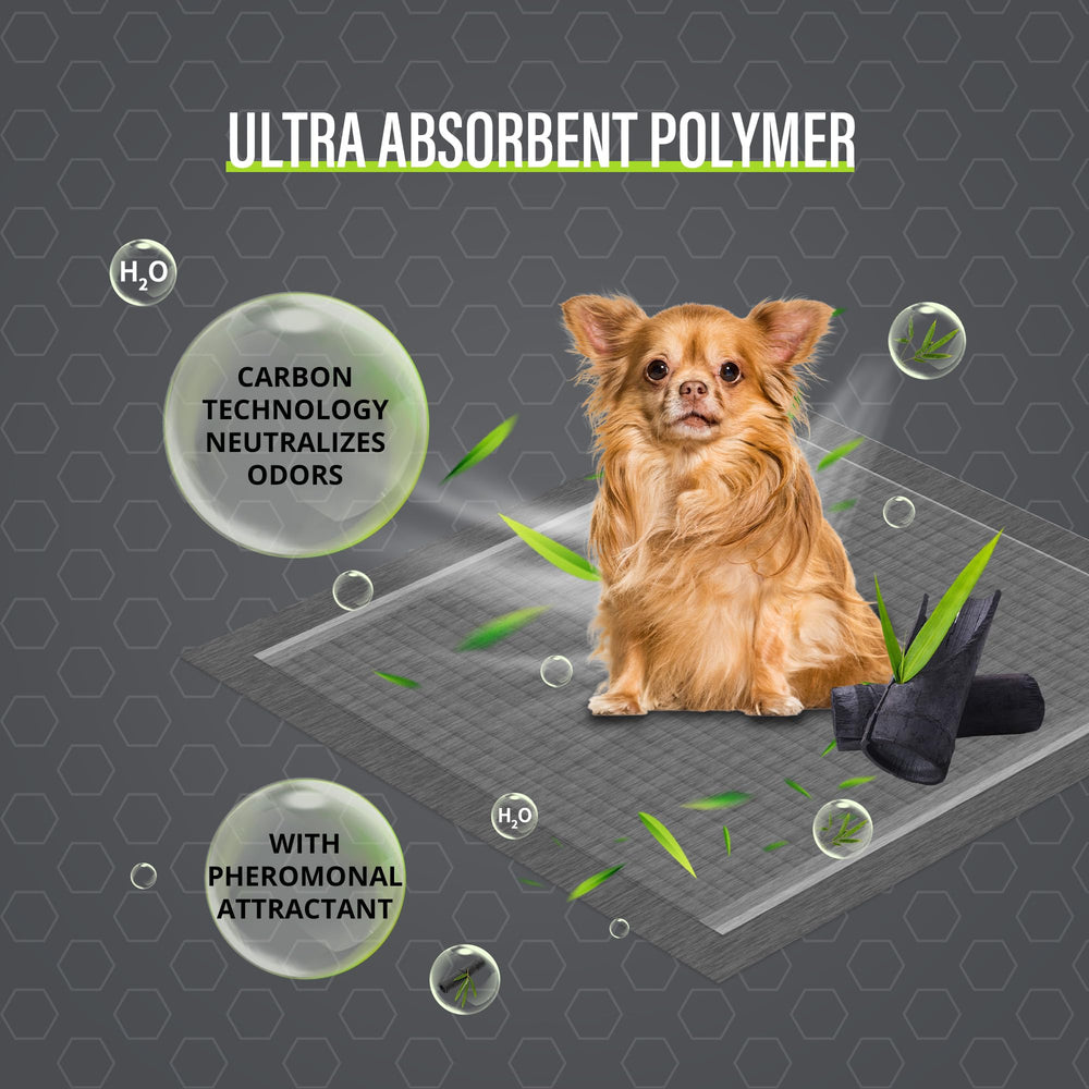 COCOYO Tapis usage domicile chien; pratique lors de longues absences.