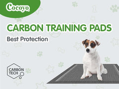 COCOYO usage polyvalent pour chiots et chiens adultes en voyage.