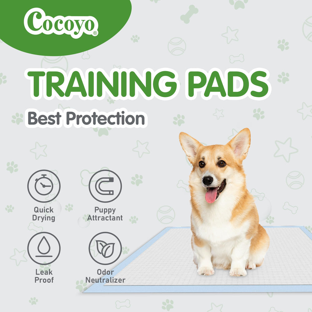COCOYO tapis utilisé comme liner dans chenil XXXL.