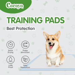 COCOYO tapis utilisé comme liner dans chenil XXXL.