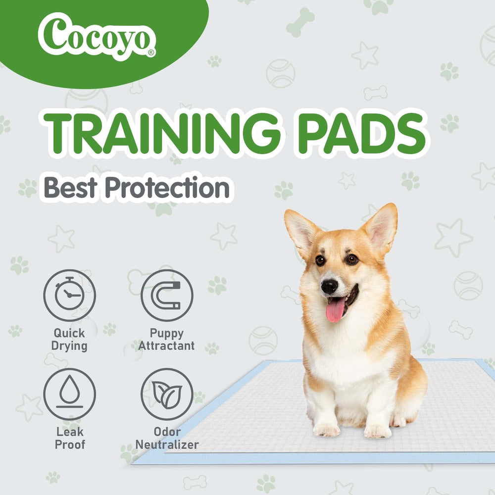 COCOYO utilisation tout âge chien, pratique pour restreindre les accidents à domicile.