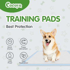 COCOYO utilisation tout âge chien, pratique pour restreindre les accidents à domicile.