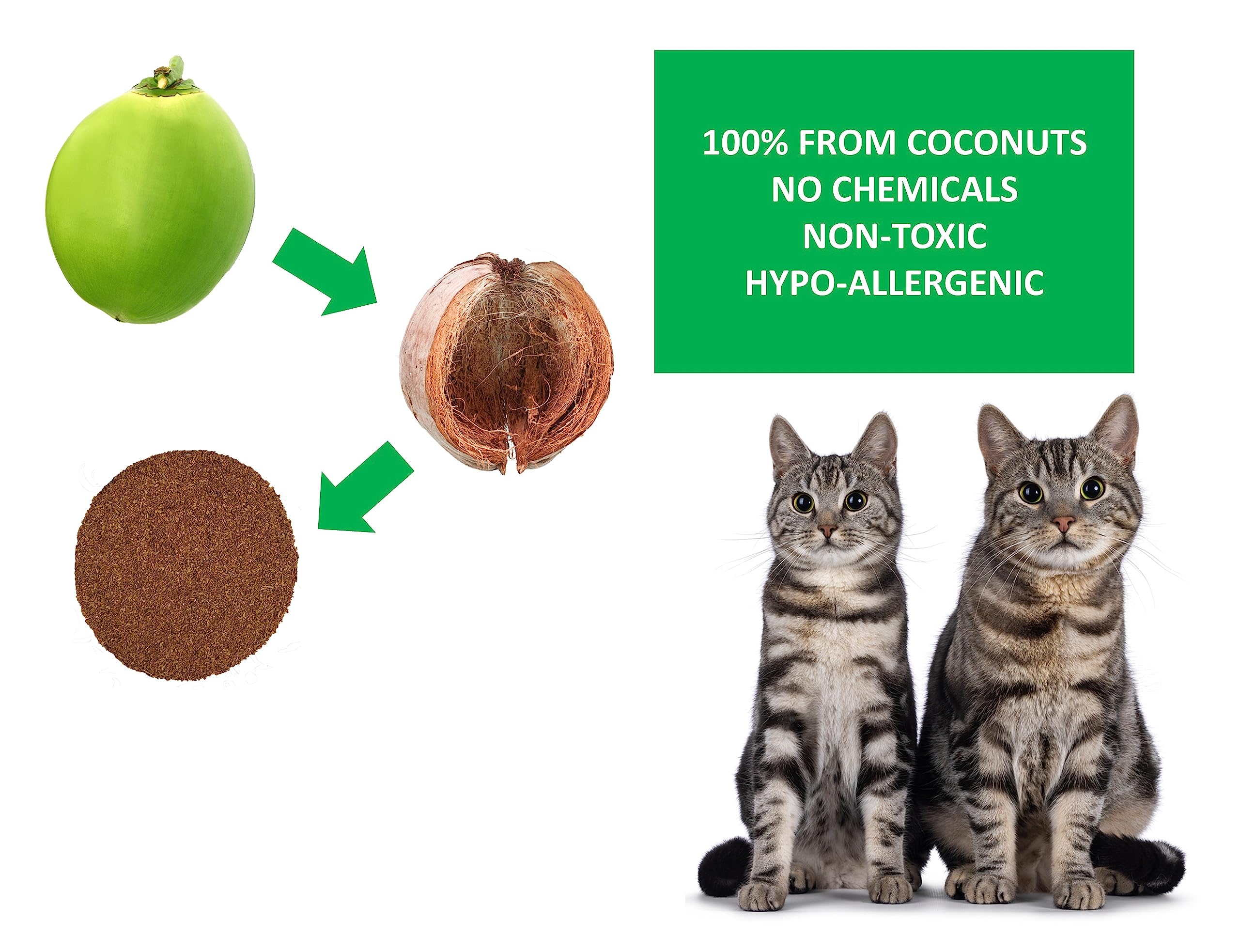 Chat utilisant la litière Coir Wonder, propreté et confort.