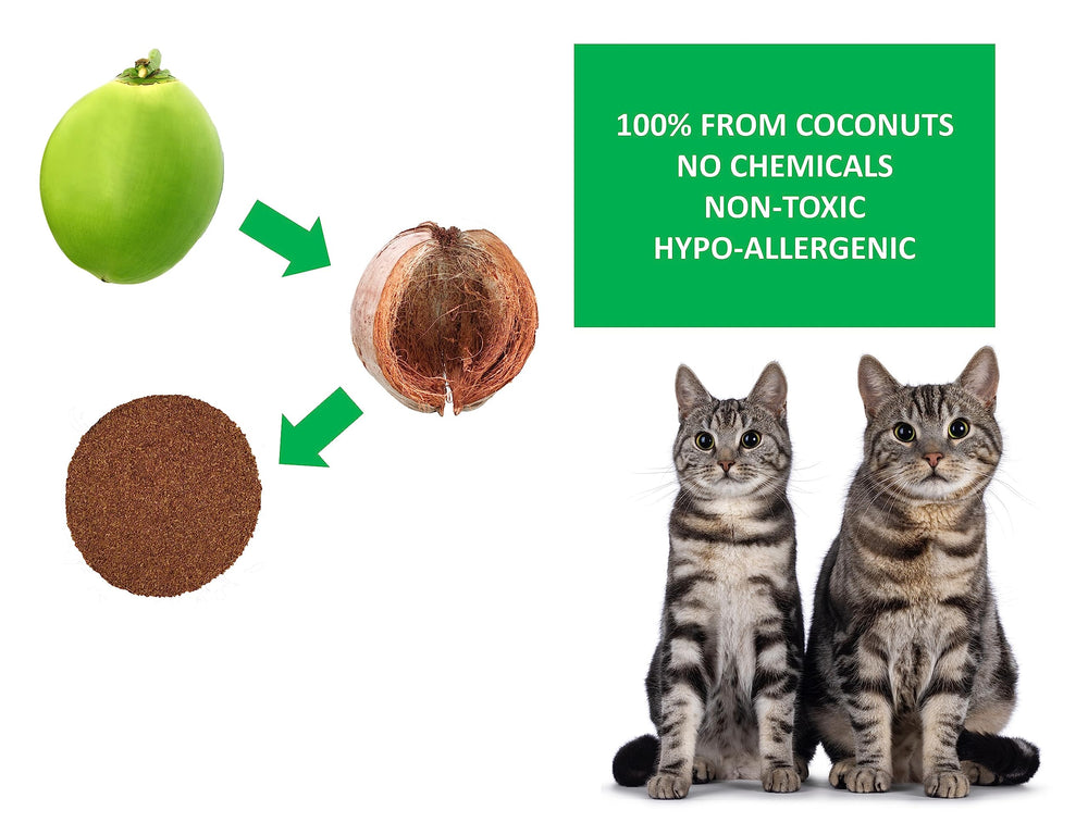 Chat utilisant la litière Coir Wonder, propreté et confort.