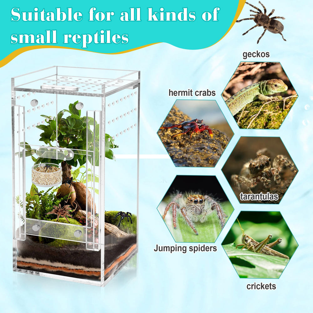 Cuve d alimentation en acrylique transparente Coldairsoap, observation claire des repas.