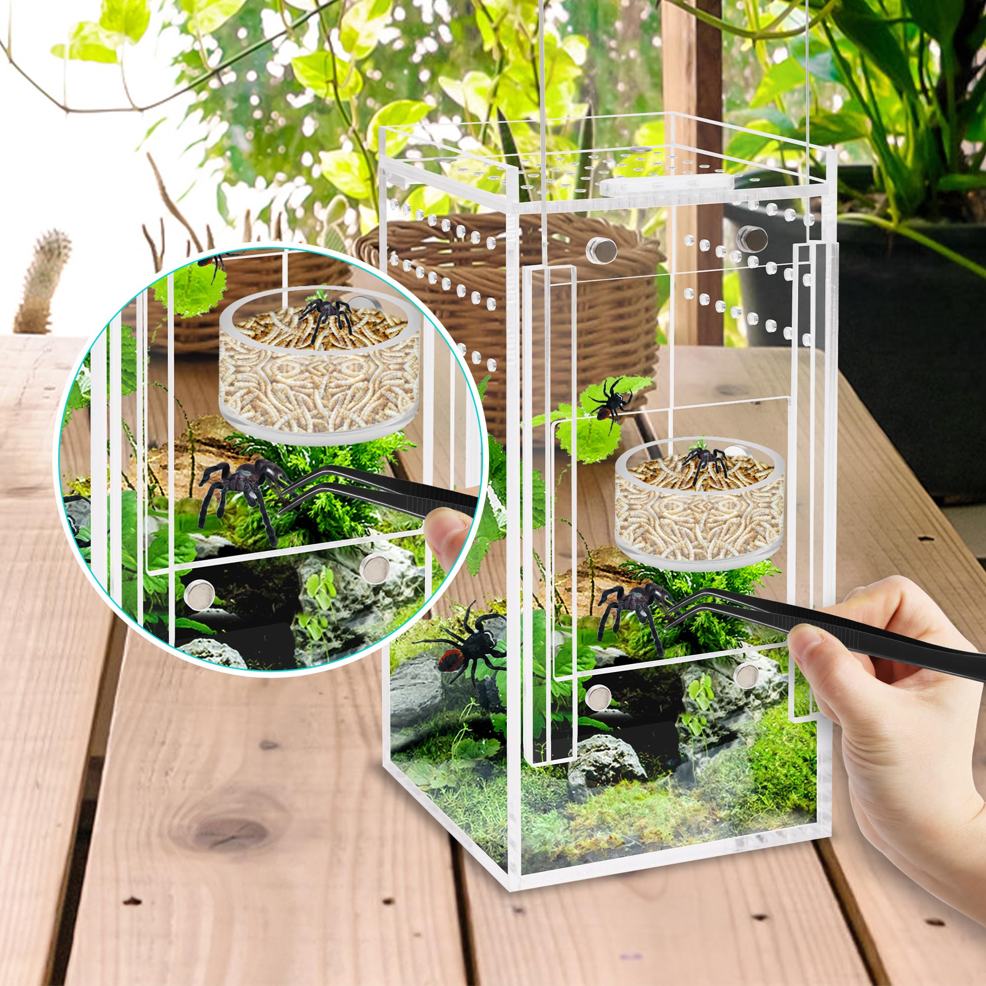 Kit d alimentation compact Coldairsoap, tout-en-un pour terrarium.