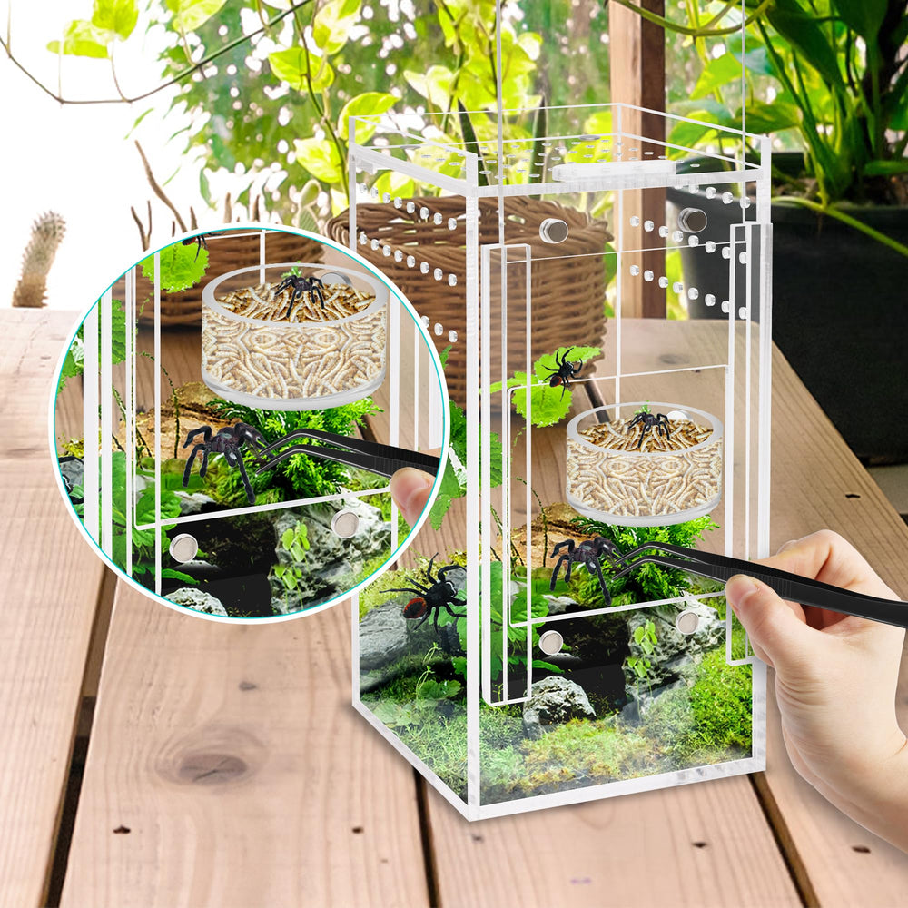Kit d alimentation compact Coldairsoap, tout-en-un pour terrarium.