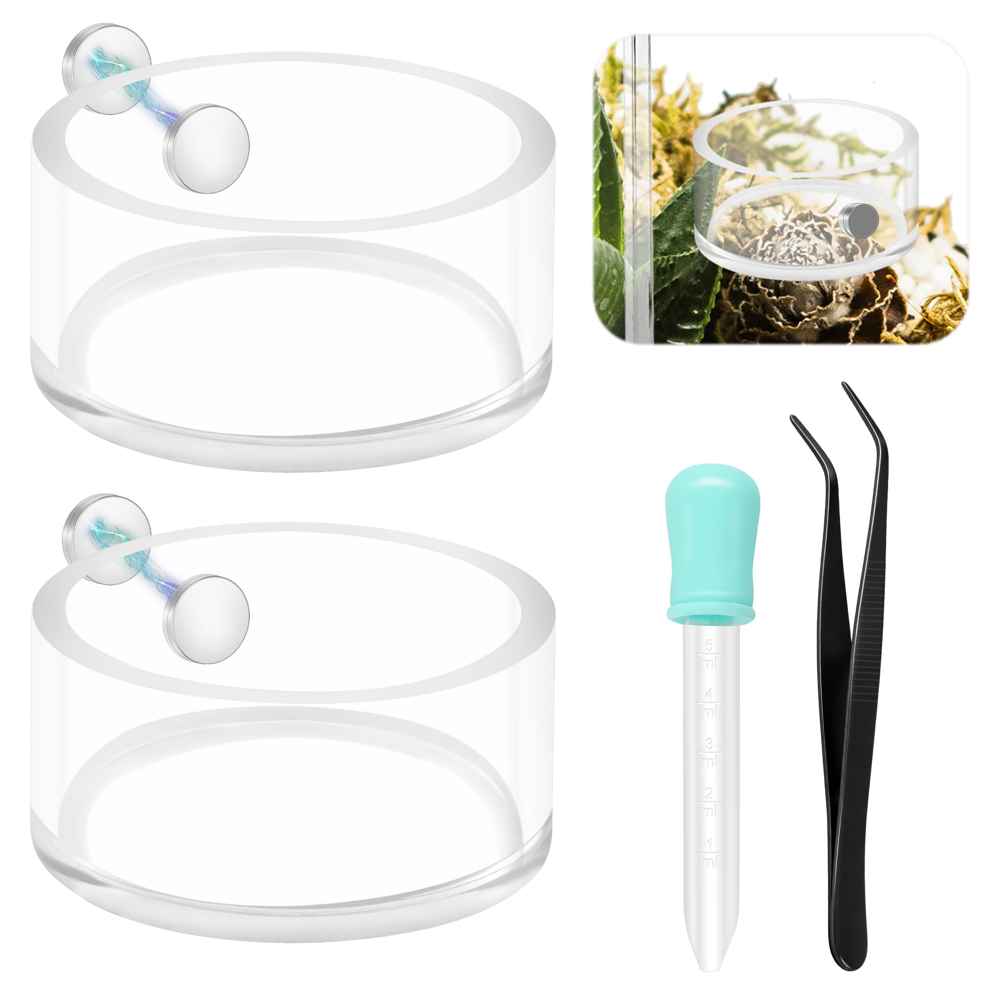 Plat d alimentation magnétique Coldairsoap pour araignée sauteuse, fixation sans outils.