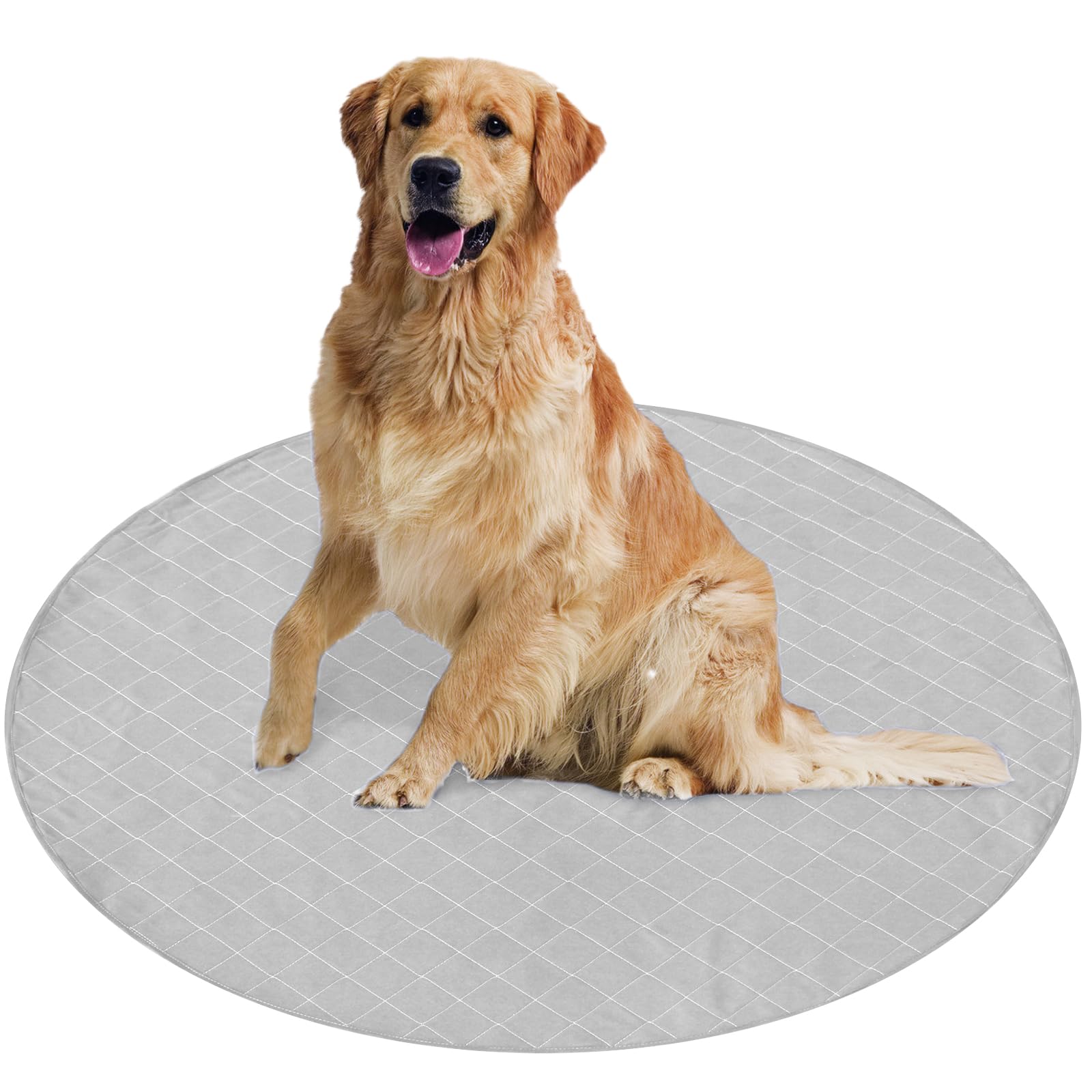 Coldwind tapis-dapprentissage ronde absorbante, usage pratique en cage et aire de jeu.