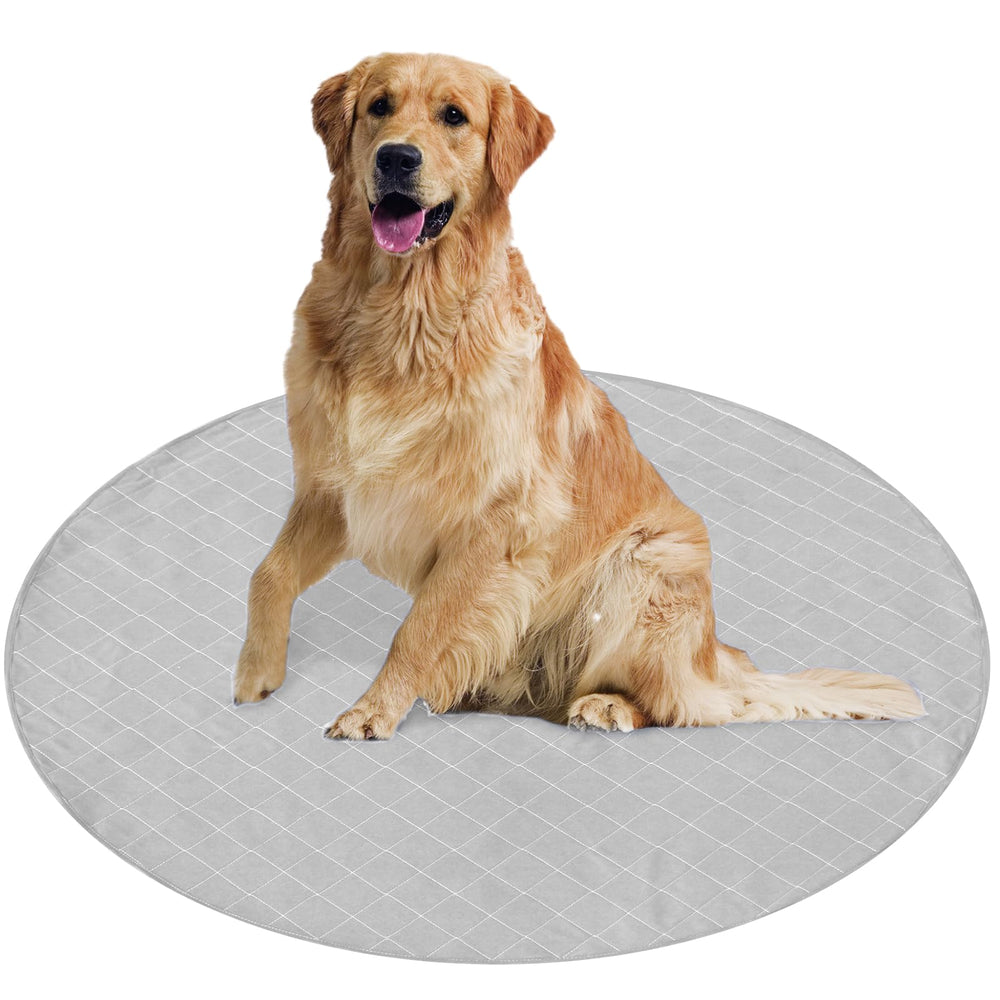 Coldwind tapis-dapprentissage ronde absorbante, usage pratique en cage et aire de jeu.