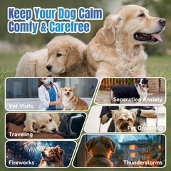 ColEaze friandises apaisantes pour chien – format 200 unités pratique en déplacement.