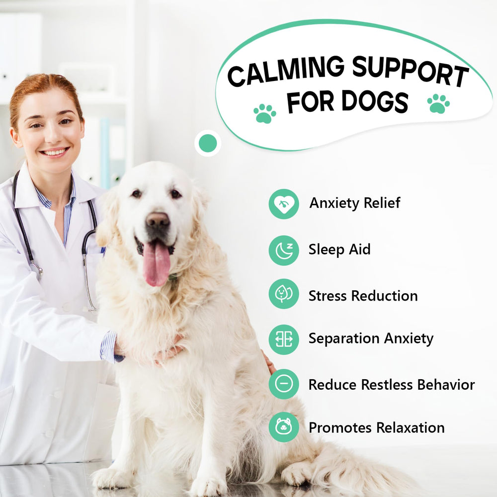 ColEaze friandises apaisantes pour chien, boite ouverte pretes a calmer rapidement.