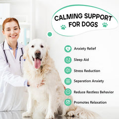 ColEaze friandises apaisantes pour chien, boite ouverte pretes a calmer rapidement.