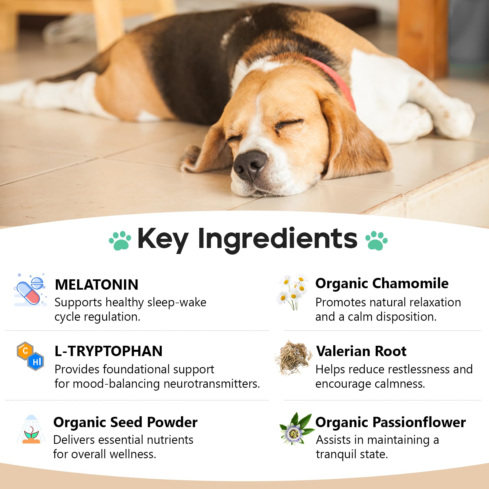 ColEaze friandises apaisantes chien tranquilite apres orage.