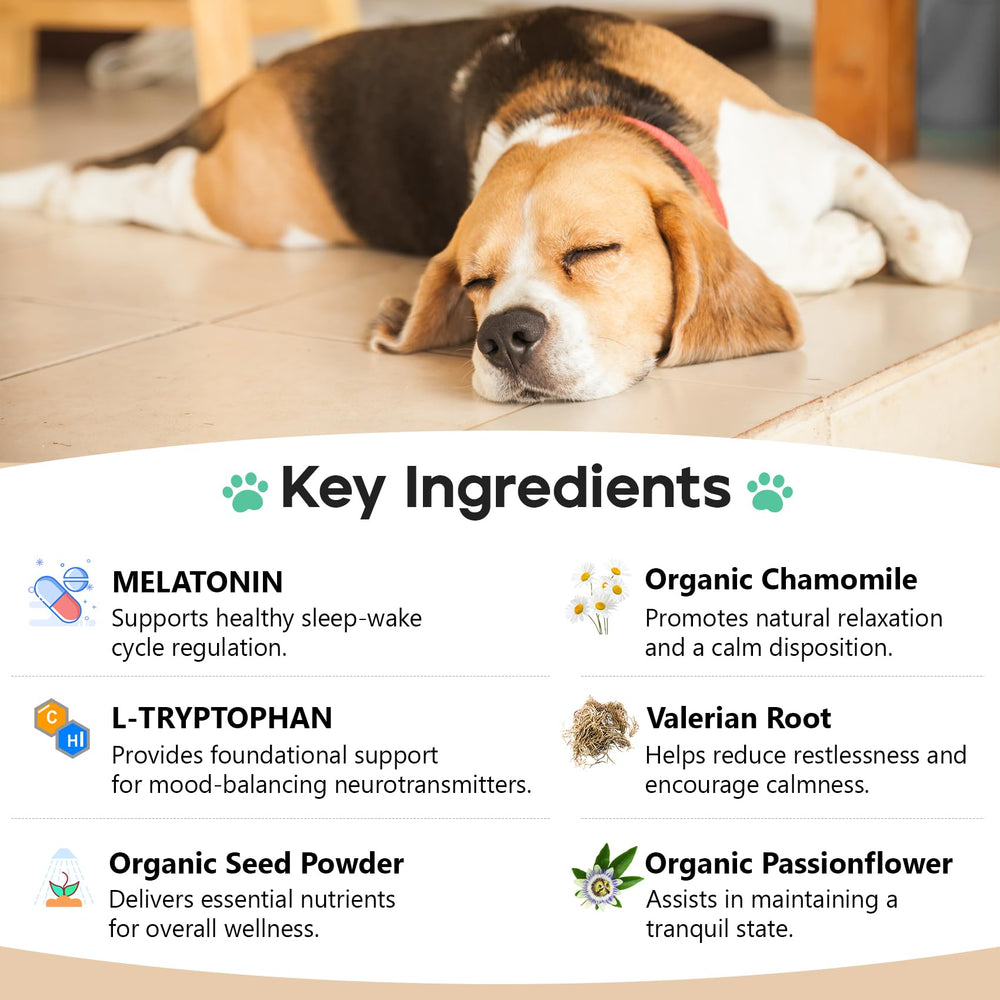 ColEaze friandises apaisantes chien tranquilite apres orage.