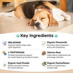 ColEaze friandises apaisantes chien tranquilite apres orage.
