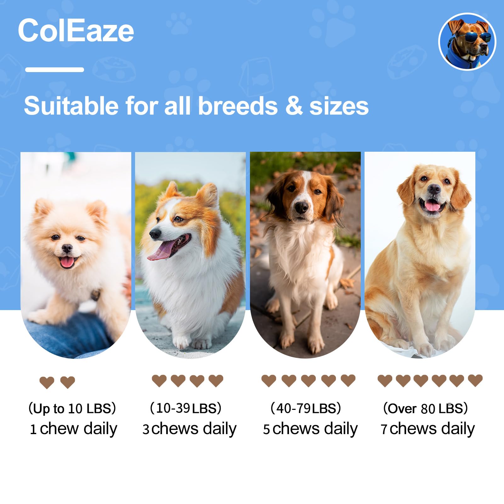 Peau et poil sains potentiels grâce à la formule ColEaze Probiotiques pour Chiens.