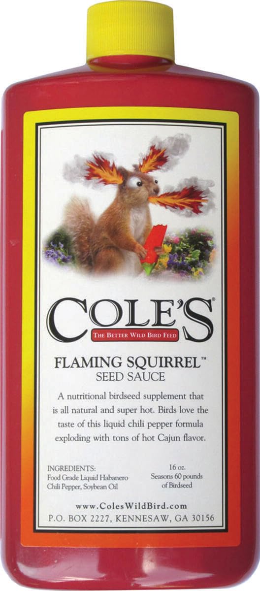 Cole's sauce épiée pour graines d'écureuil, bouteille de 16 oz prête à l'emploi pour attirer les oiseaux