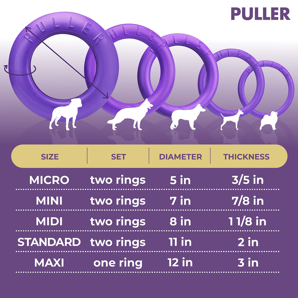 COLLAR Puller: pratique pour les jeux d’eau et les sessions en extérieur