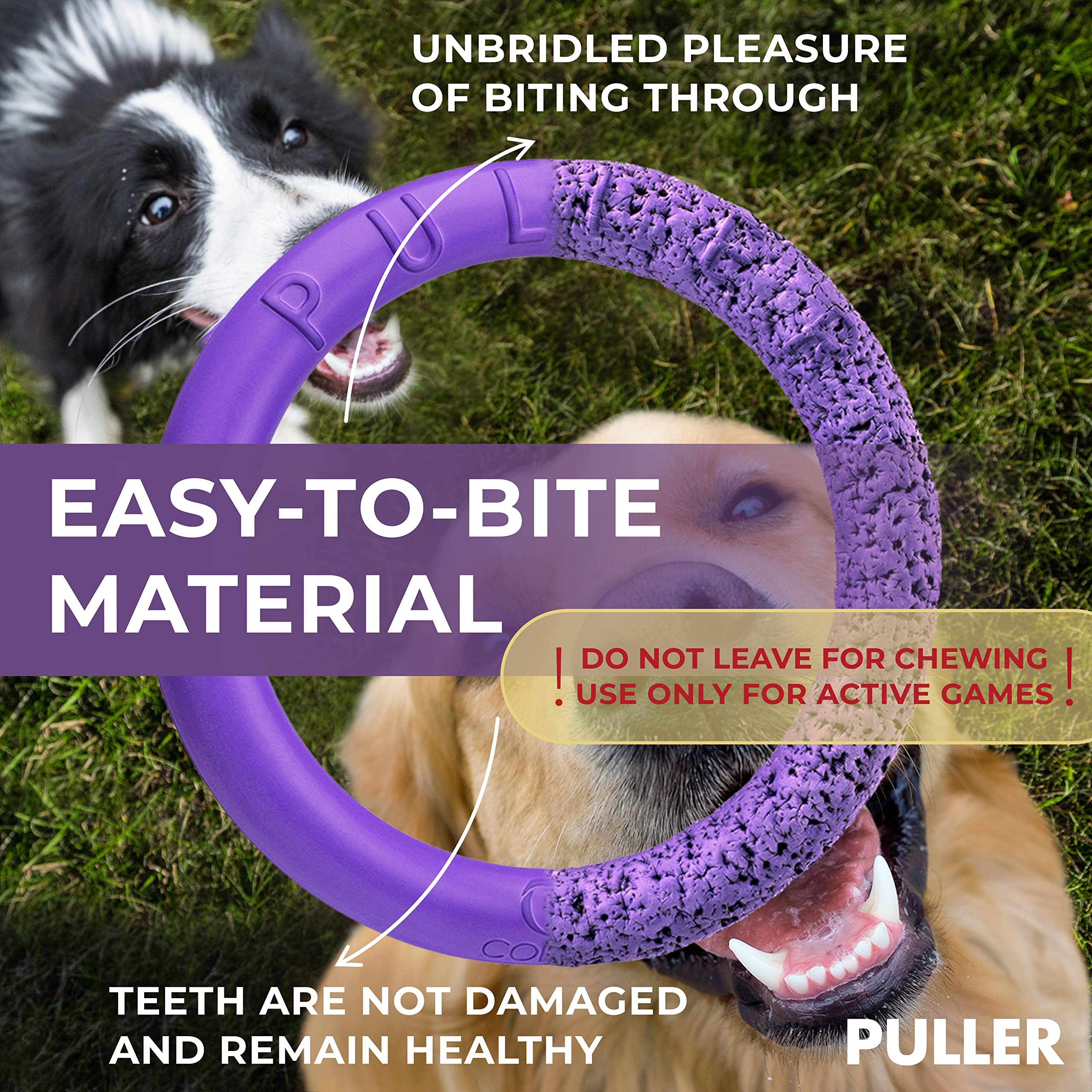 COLLAR Puller: exercice quotidien-chien, encourage mouvement et activité physique.