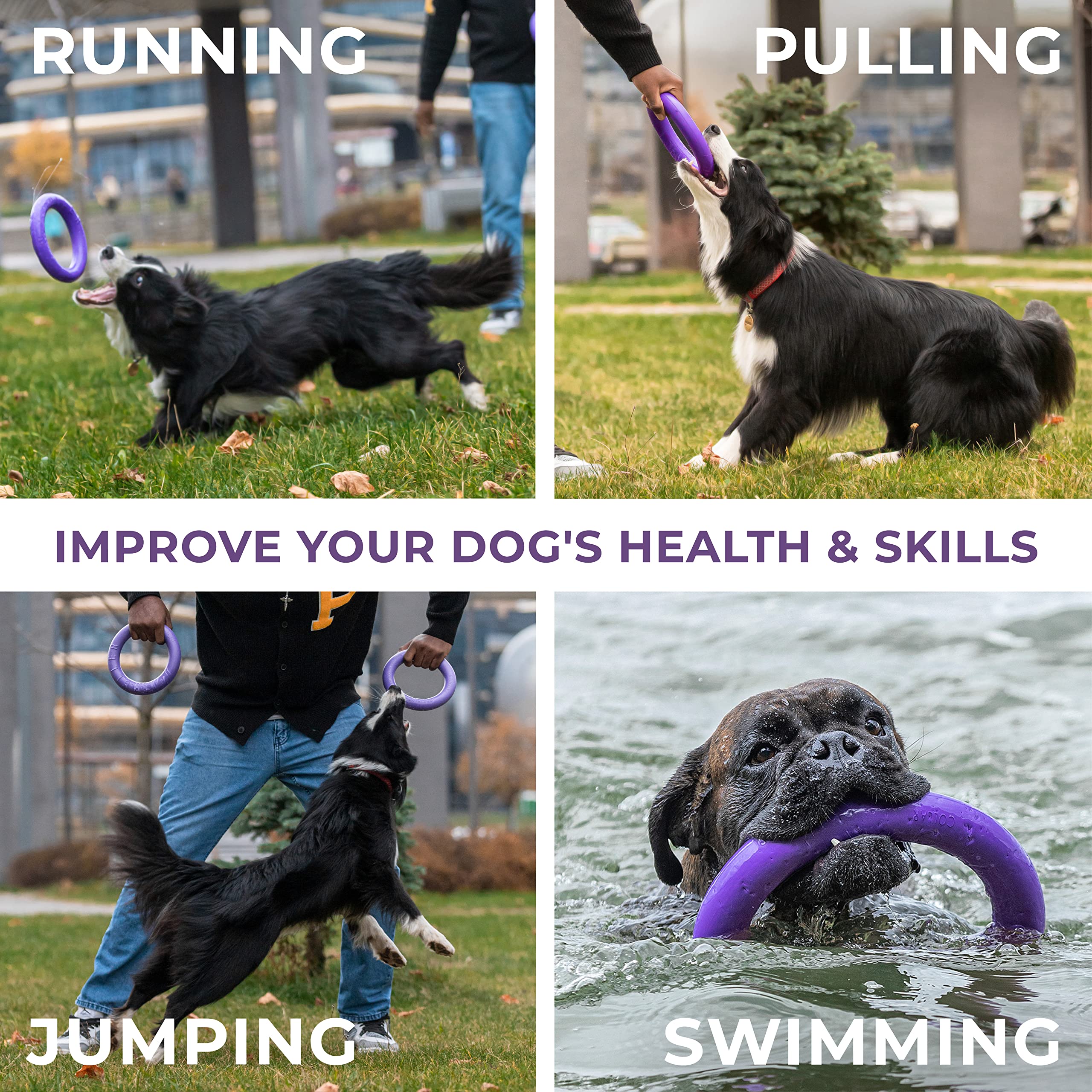 COLLAR Puller: jouet flottant eau-chien, pratique pour jeux nautiques et baignades.